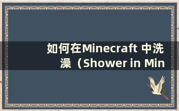 如何在Minecraft 中洗澡（Shower in Minecraft）